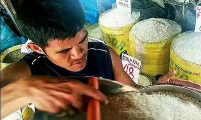 Gov't Holds Rice Price at P43/Kilo as Tariff Hike Looms in January 2025