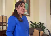 Cebu Governor Baricuatro Outlines 3-Year Agenda for RDC 7: Infrastructure, Economy, Health