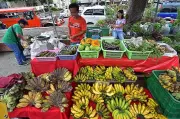 Philippine Banana Exports Lose Ground to Vietnam in Key Markets