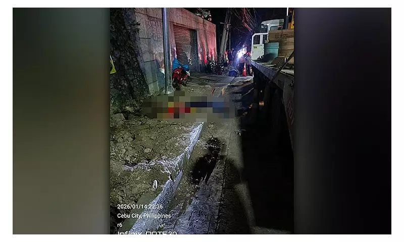 2 Dead, 4 Injured in Cebu Electric Shock Accident at Solar Light Installation