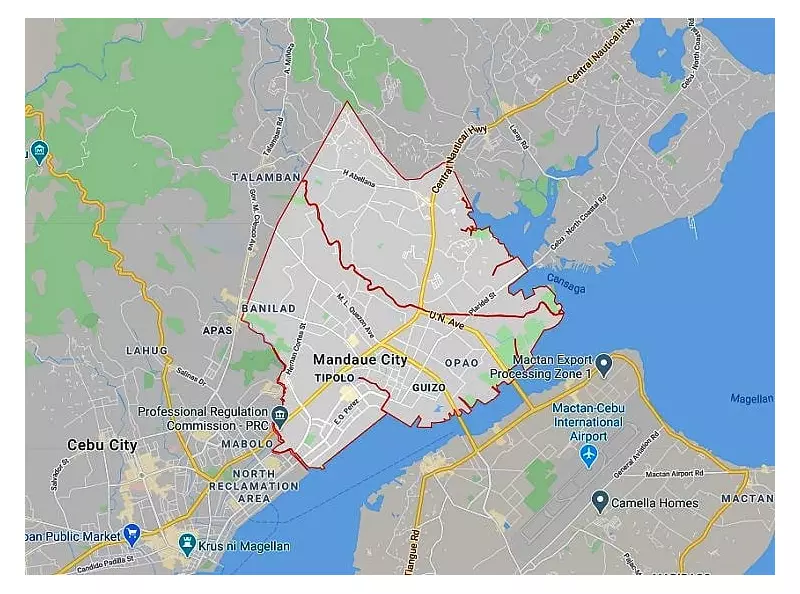 Animal Cruelty Case Filed Against Vendor for Killing Labrador in Mandaue City