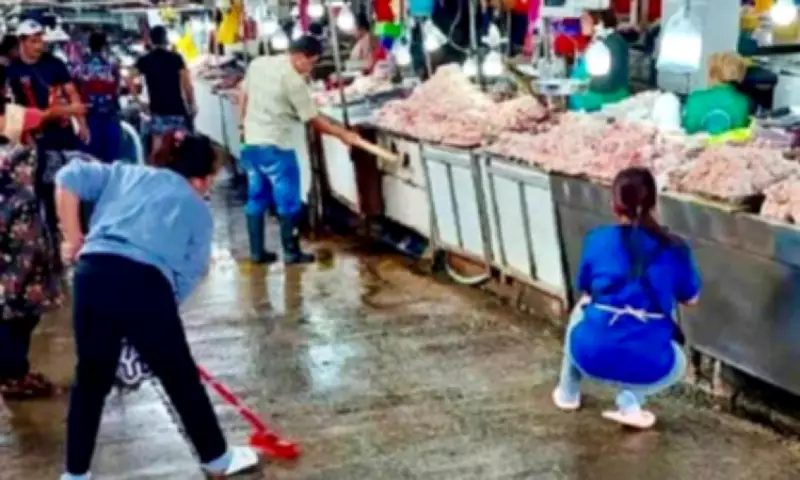 Baguio Enforces Sanitation Code as Senate Bill Aims to Boost Inspector Pay