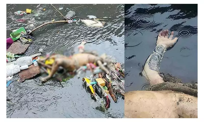 Body Found in Cebu River Identified as Salvage Victim Miguel Dela Calzada Jr.