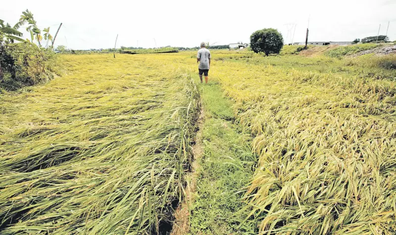 Business Leaders Urge Government to Boost Exports to Middle East