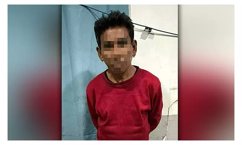 Cebu Suspect Admits Kicking Elderly Woman Over 'Dog' Insult