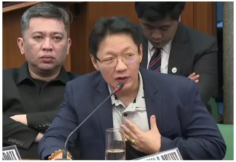 Contractor Curlee Discaya Claims 'Robbery' in WPP Restitution Demand