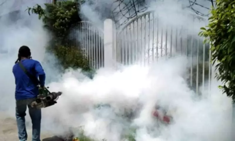 Davao City Records 53.54% Drop in Dengue Cases in 2025, Task Force Credited