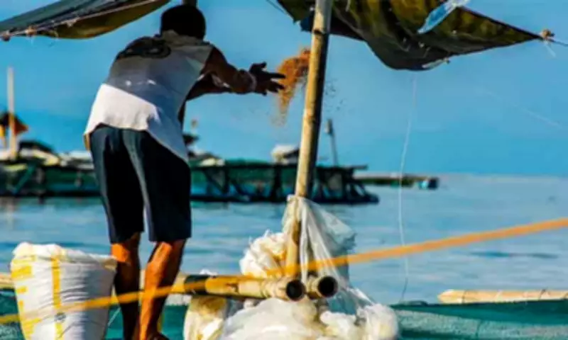 Davao City Urges Fisherfolk Vigilance After Multiple Maritime Incidents