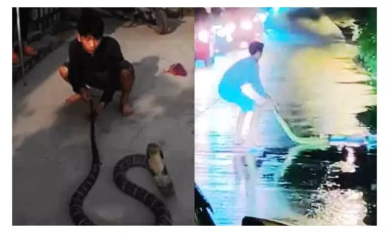 DENR-Davao Urges Public on Wildlife Safety After Snake Incidents