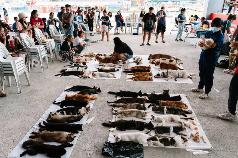 M Lhuillier & AKF Transform Lives in Tarlac Through Project SNAP