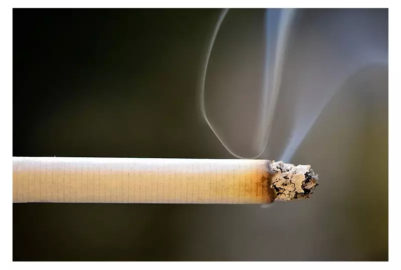 P21.2M Smuggled Cigarettes Seized, 3 Arrested in Zamboanga City