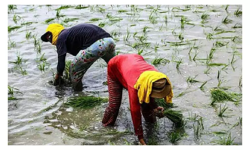 Pangilinan Pushes for Structural Reforms to Empower Farmers and Fishers