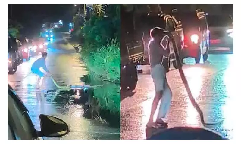 PETA Condemns Python Abuse in Davao City, Calls for Compassion