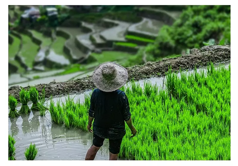 SWS Survey: Filipino Hope for New Year Hits 16-Year Low in 2026