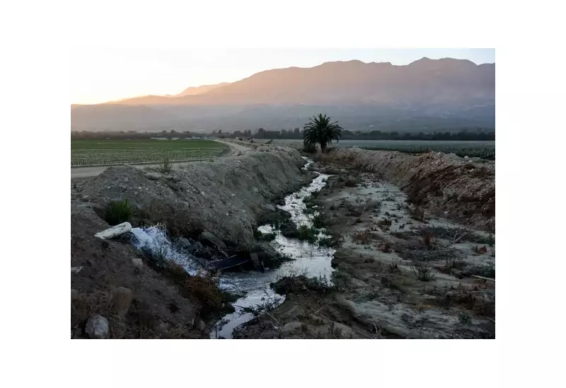 UN Declares 'Global State of Water Bankruptcy' as Freshwater Systems Face Irreversible Decline