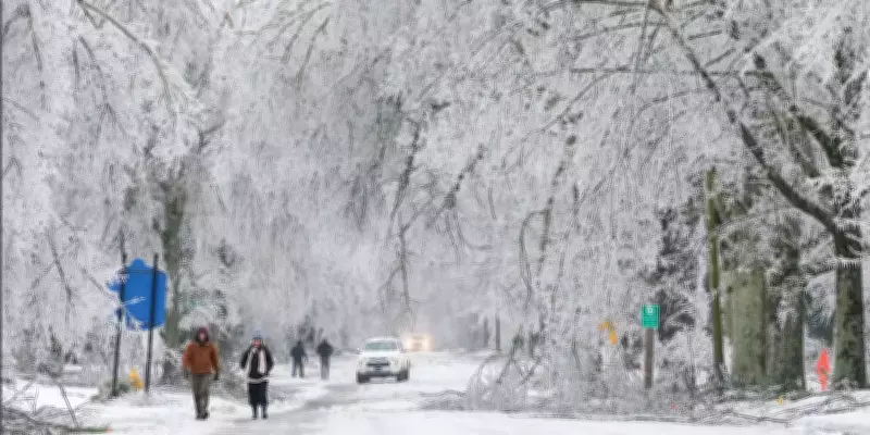 US Monster Winter Storm Death Toll Surpasses 30, Over 200M Under Severe Cold Alerts