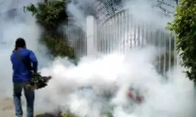 Davao City Records 53.54% Drop in Dengue Cases in 2025, Task Force Credited