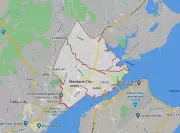 Animal Cruelty Case Filed Against Vendor for Killing Labrador in Mandaue City