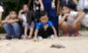Davao Children Join Release of 169 Hawksbill Turtle Hatchlings at Aboitiz Park