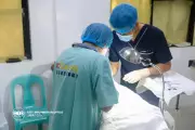 Davao City's Free Vasectomy Service Sees 121% Surge in 2025 Acceptors