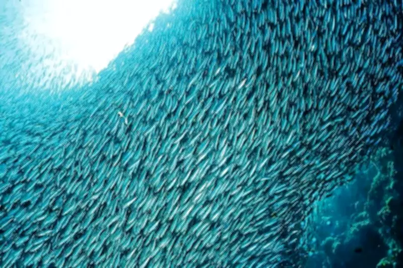 Cebu Launches Tourism Incentive Program to Boost Overnight Stays in Rural Towns