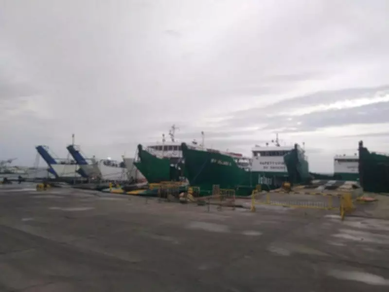 Cebu on Blue Alert as Tropical Storm Basyang Approaches, Halting Sea Travel