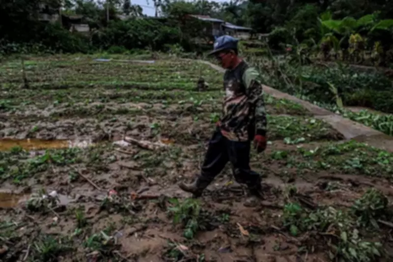 Cebu's Agricultural Heartland Reels from Flash Floods as Urban Areas Stay Dry