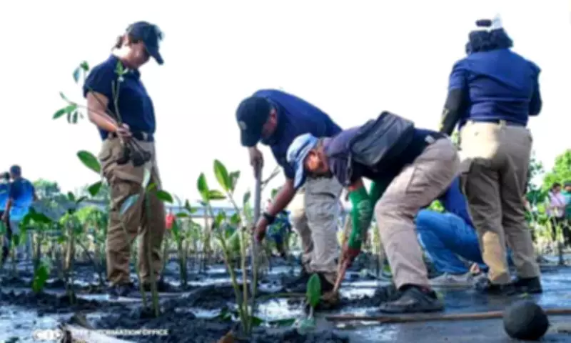 Davao City Plants 2,300 Mangroves in Zero Waste Month Coastal Initiative