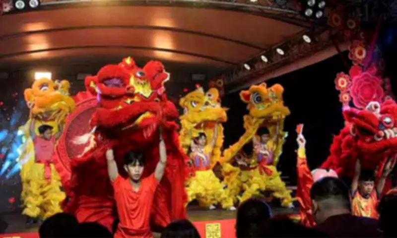 Davao City's Bucana Bridge Illuminates for Chinese New Year, Highlighting Unity and Infrastructure
