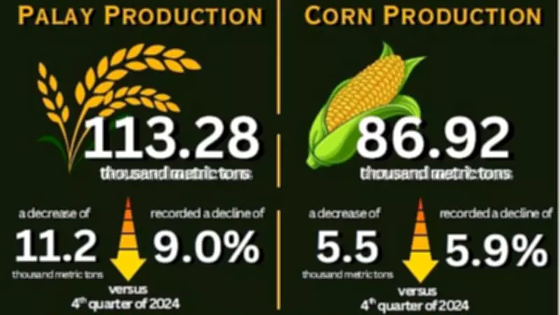 Davao Region Sees Decline in Palay and Corn Production in Late 2025