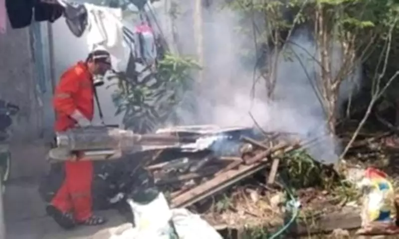 Dengue Cases Drop 71% in Early 2026, DOH Credits Anti-Mosquito Campaign