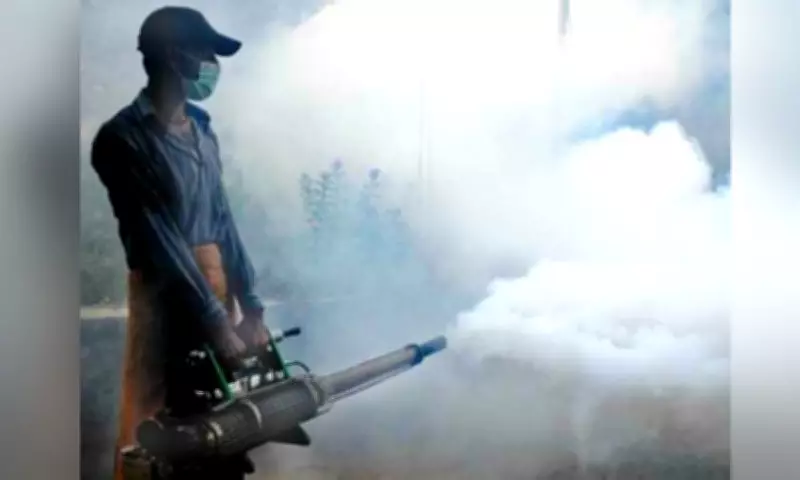 DOH Reports 71% Drop in Dengue Cases Nationwide in Early 2026