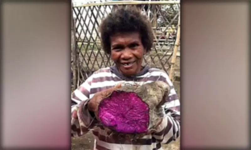 Global Ube Boom: Philippines Exports Hit $3.06M as Demand Surges Worldwide