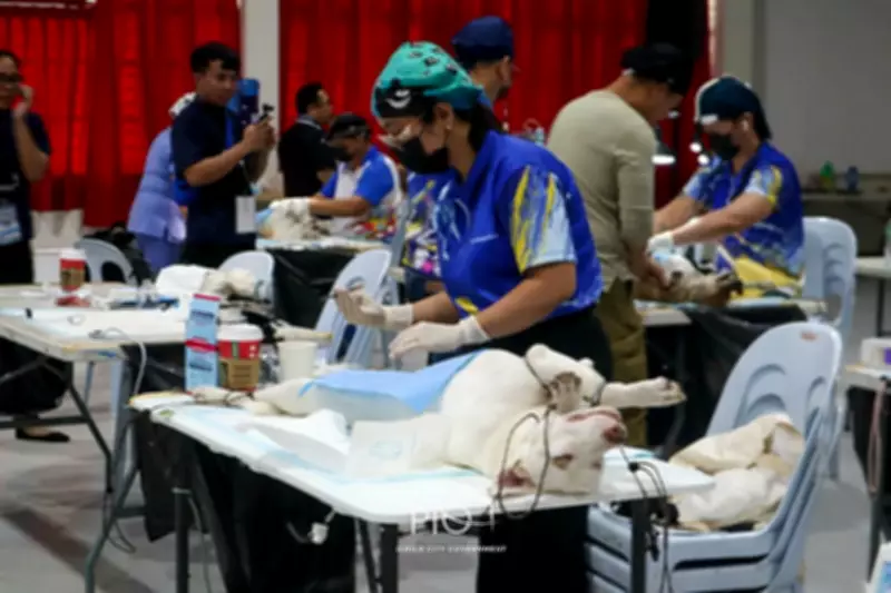 Iloilo City Hosts Mass Spay-Neuter Event for 200 Stray Animals