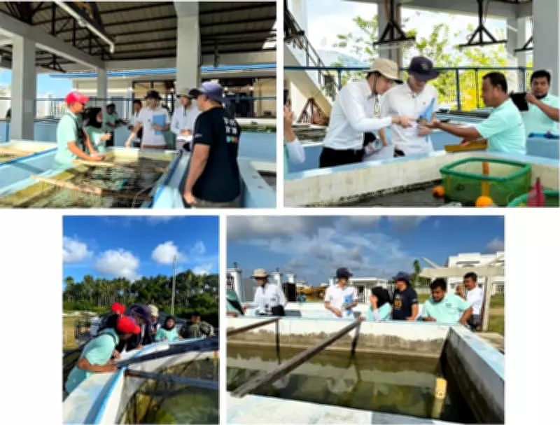 Japan and FAO Launch Sustainable Fishery Project in Bangsamoro Region