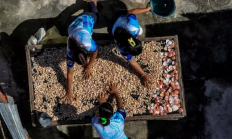 Olanggo Island Women Transform Seashells into Sustainable Livelihood