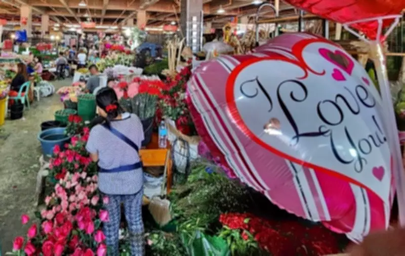 Pagasa Monitors Potential Formation of Two Low-Pressure Areas Near Philippines