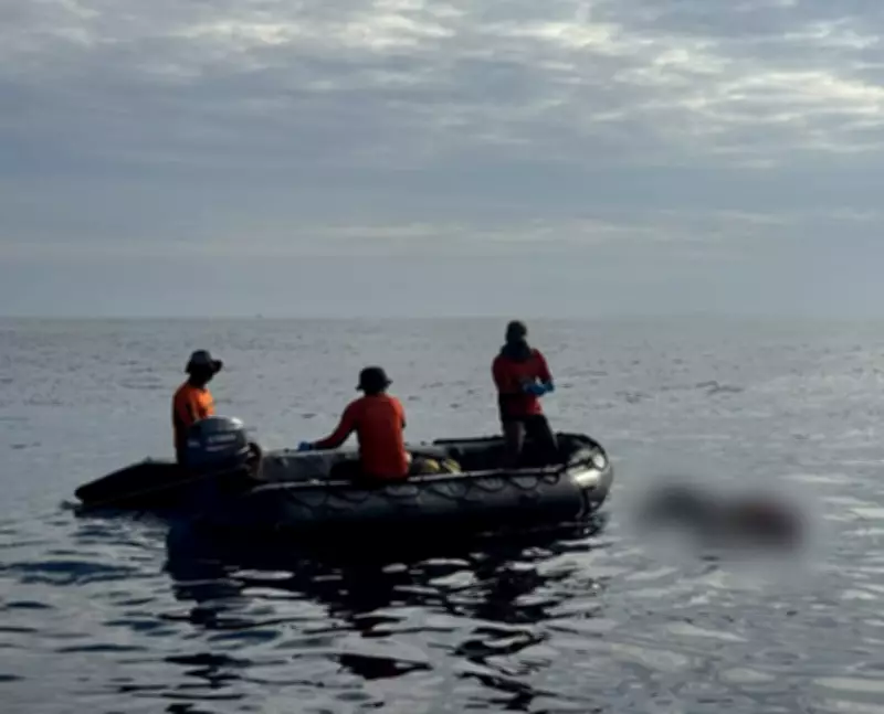 PCG Technical Divers Recover 5 More Bodies from Sunken MV Trisha Kerstin 3 in Basilan
