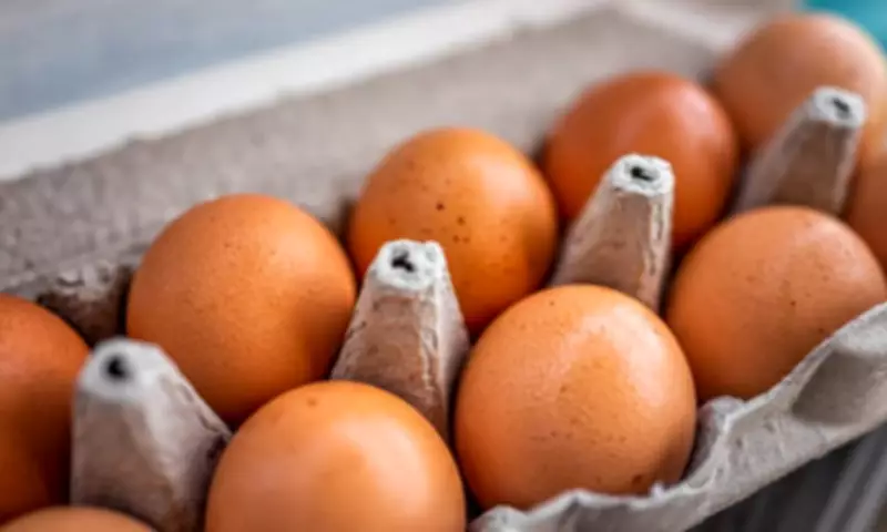 Philippines Restaurant Industry Embraces Cage-Free Eggs as New Standard