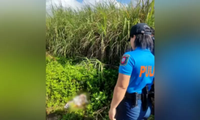 Police Investigate Abandoned Infant Found Wrapped Like Bouquet in Lapu-Lapu City