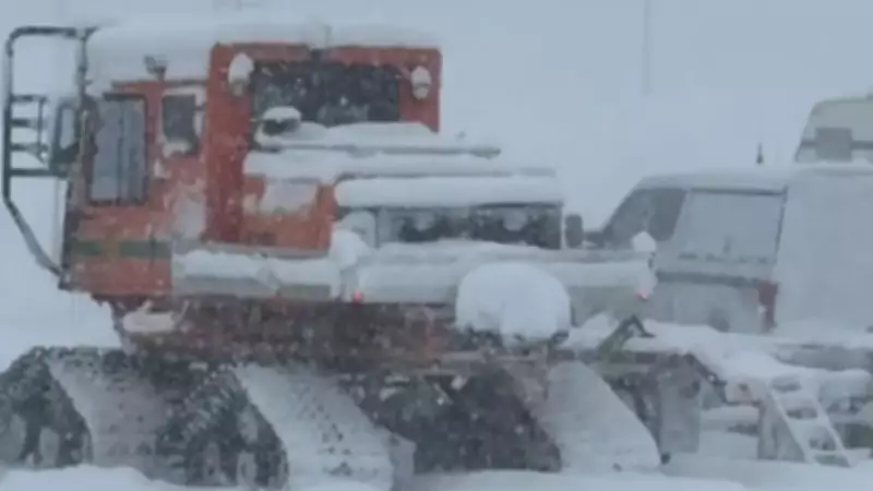 Rescue Operations Continue After Avalanche Buries Skiers at Lake Tahoe