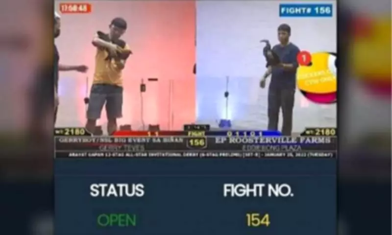 Senate Panel Urges Raids on Illegal Online Sabong Hubs, Not Just Website Blocks