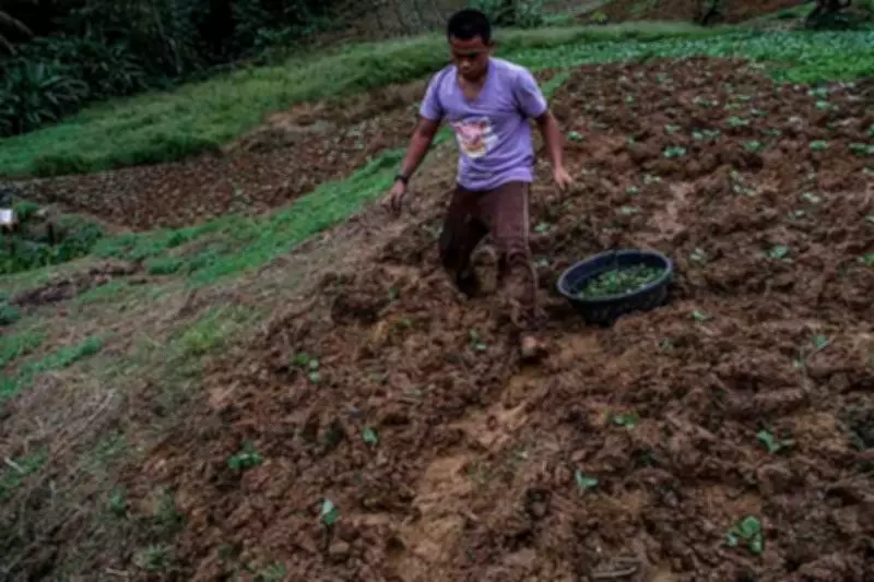 Tropical Depression Basyang Damages Dalaguete Farms, Now Weakens to LPA