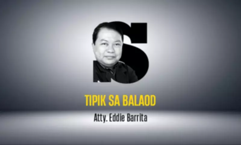 Waste-to-Energy Debate Ignites in Cebu Amid Landfill Crisis and Legal Amendments