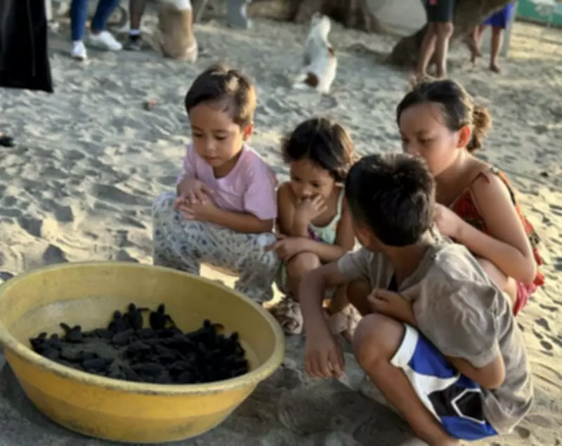 Zamboanga Community Helps Release 85 Endangered Olive Ridley Turtle Hatchlings