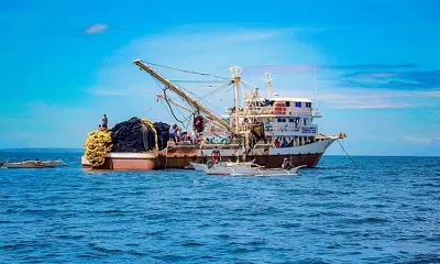 Cebu Authorities Seize P3.7M in Illegal Fishing Assets, Arrest 35 Fishermen