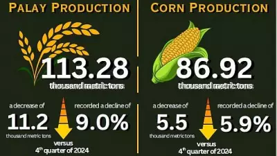 Davao Region Sees Decline in Palay and Corn Production in Late 2025