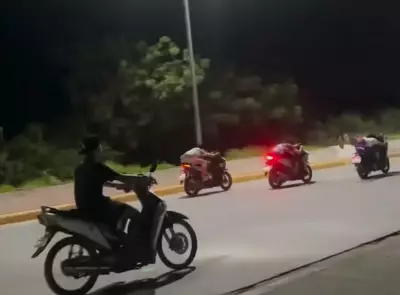 LTO 7 Issues Lifetime License Ban for Teenage Stunt Riders in Cordova