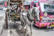 Cebu City to Regularize Tartanilla Rides After ASEAN Forum Success