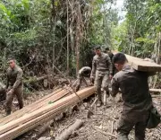 Environment Authorities Seize Illegal Lumber in Former Abu Sayyaf Stronghold in Basilan